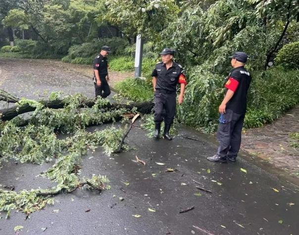 C:/Users/BA/Desktop/風(fēng)雨過后南京保安迅速行動，恢復(fù)安“寧”面貌/7.jpg7